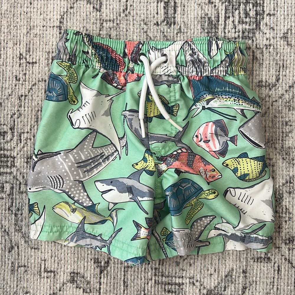 Carters 2T swimsuit